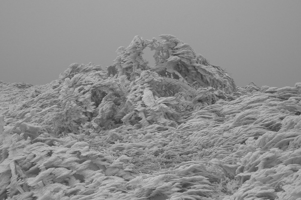 Photograph by Александр