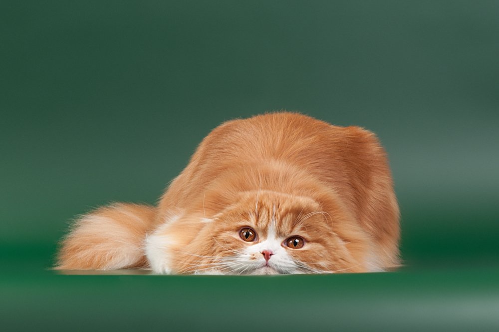 Photograph by Альбина Рычкова