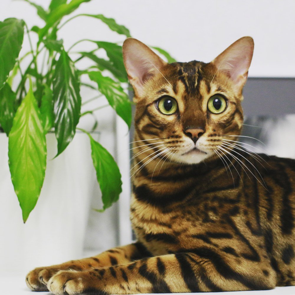 Photograph by Мария