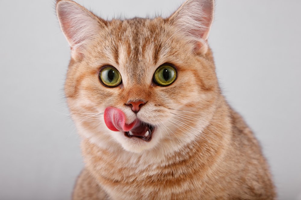 Photograph by Elena Guseva