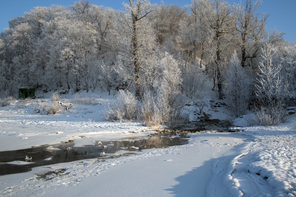 Photograph by Ольга