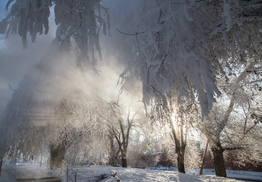 Photograph by Ольга