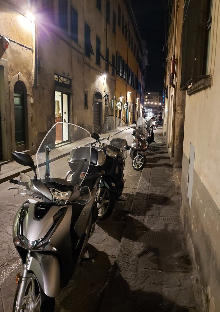 Photograph by ЗОЯ МЕДВЕДЕВА