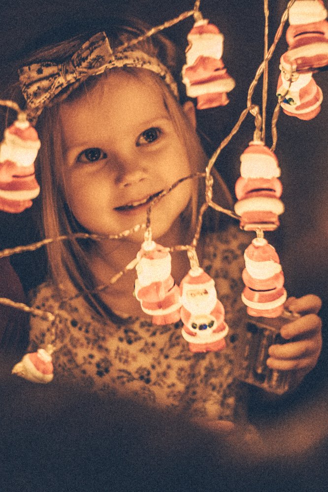 Фотография автора Елена Мудрык