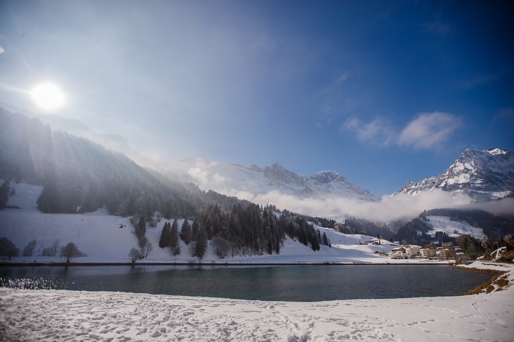 Photograph by Nitzan Gur