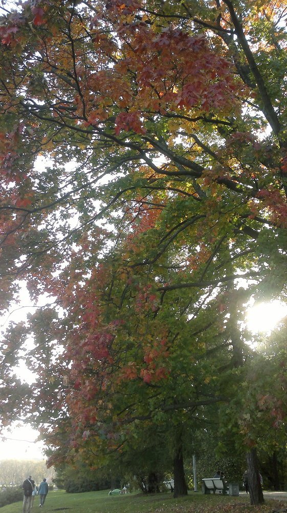 Красота осени.