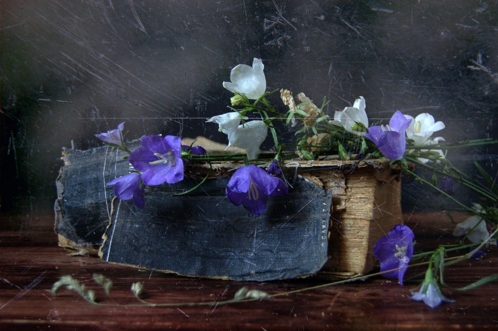 Фотография автора Ирина Курмалеева