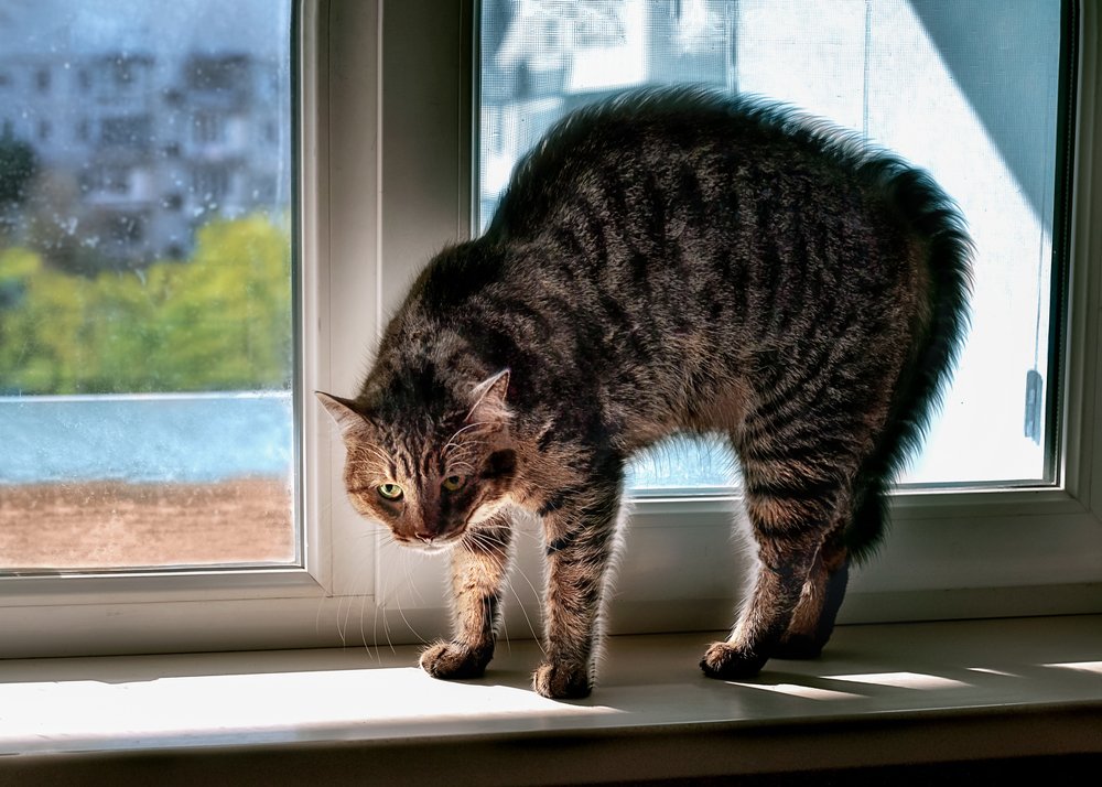 Photograph by Ирина Кленкова