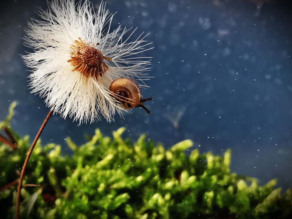 Photograph by Юлия Иванова