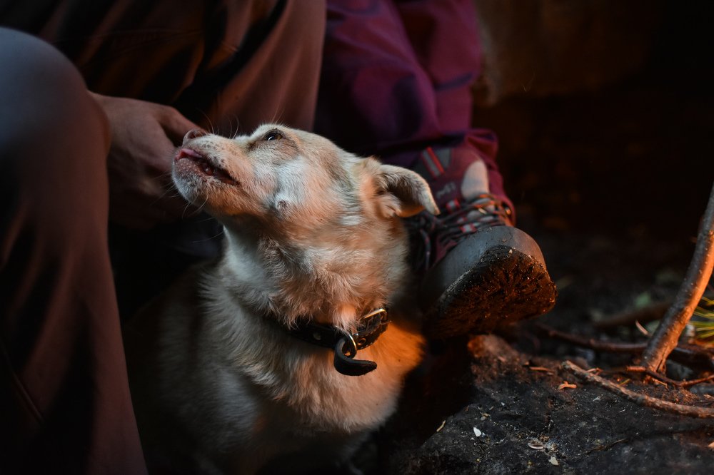 Photograph by Амир Гильмутдинов