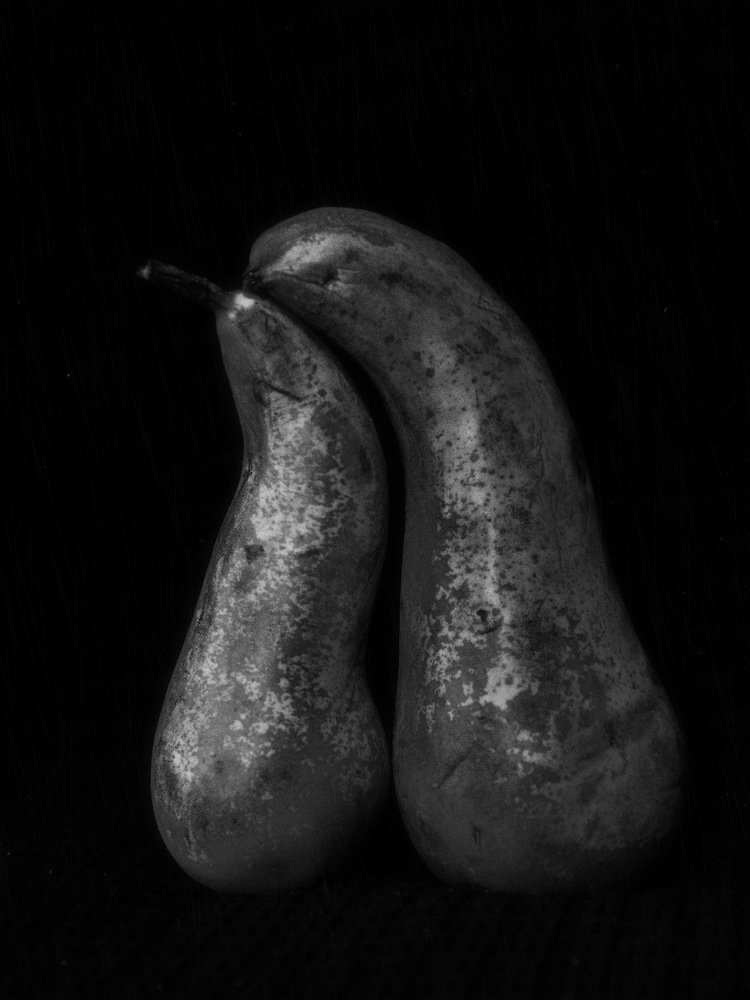 Photograph by Oleg M Kulishov