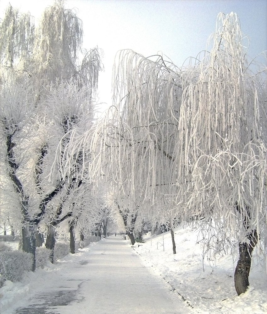 Photograph by Александр Пузиков