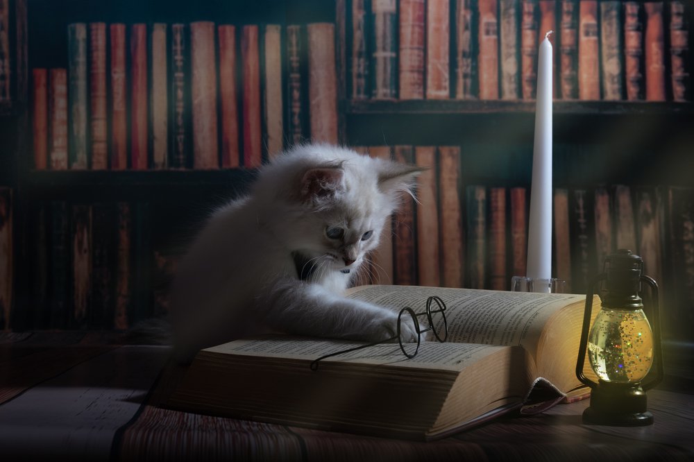 Photograph by Альбина Рычкова