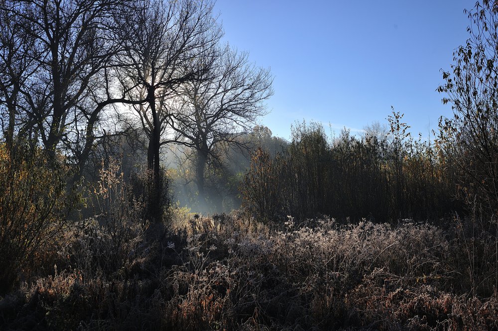 Photograph by Андрей Михайлов