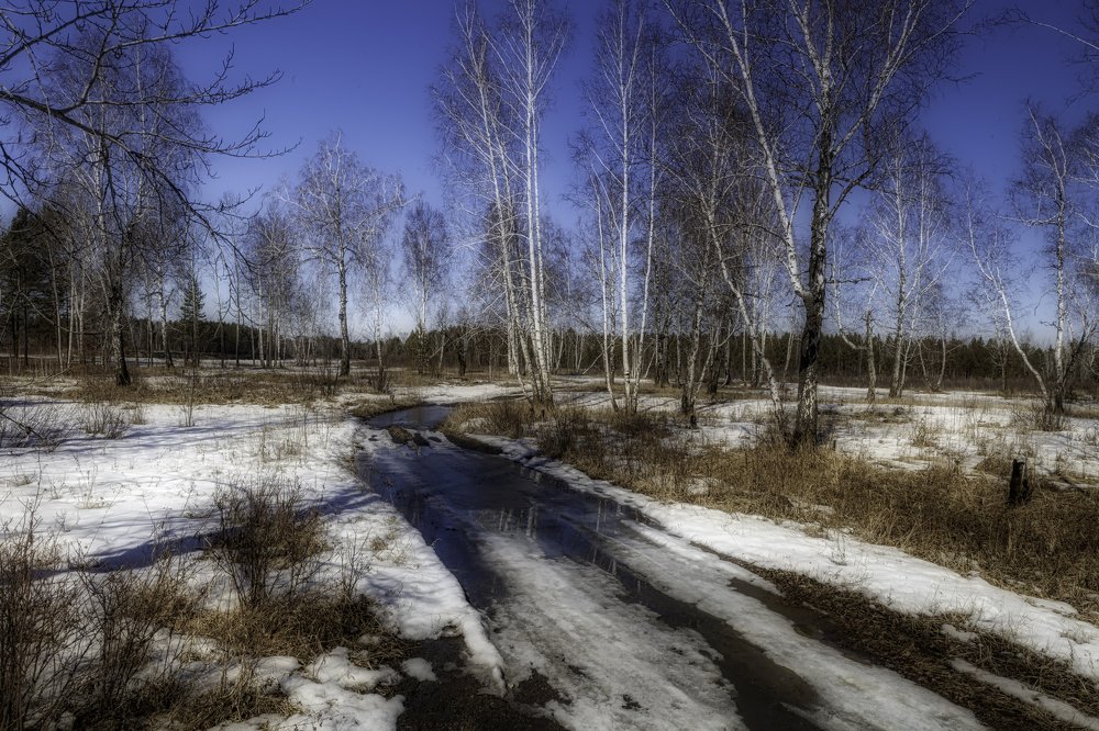 Photograph by Eвгений Якушенко