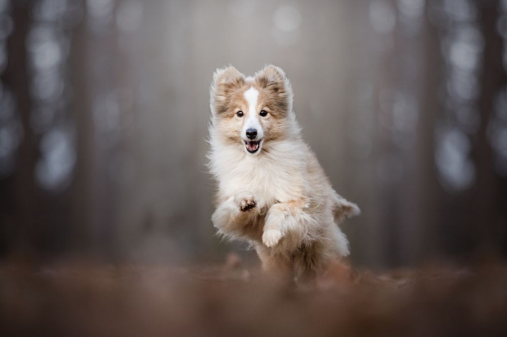 Photograph by Nikol Kopp