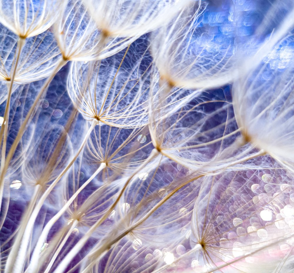 Photograph by Наталья Ким