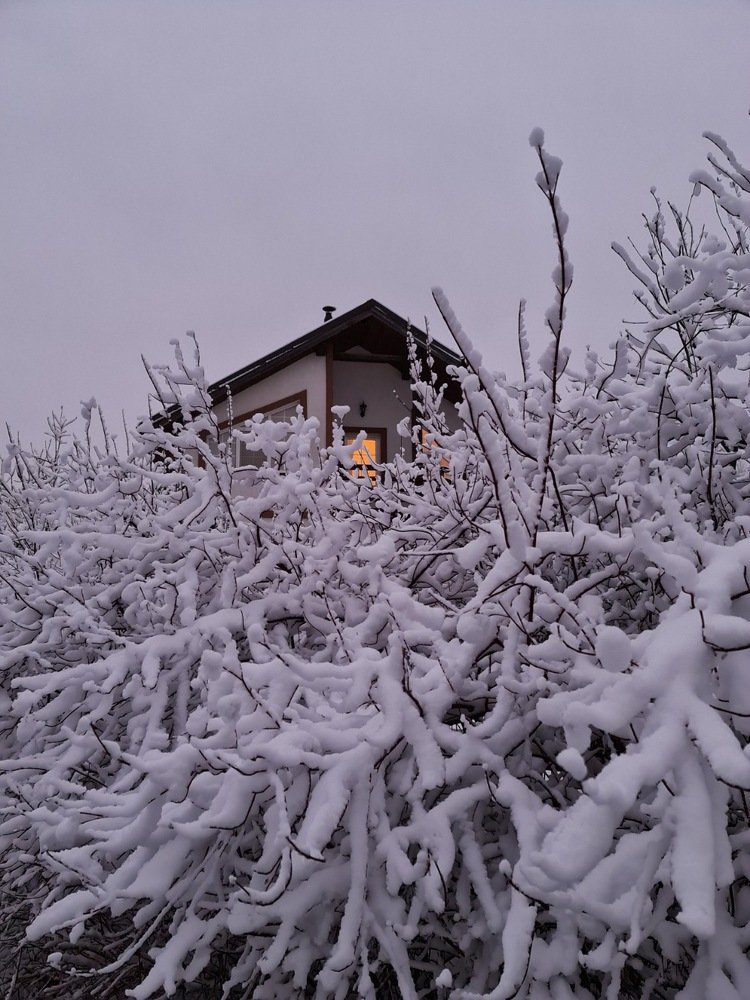 Дом в снежном лесу