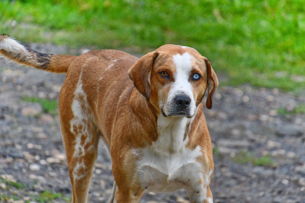 Photograph by Александр Соловьев