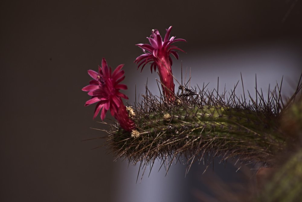 Photograph by Valgeir Halldorsson