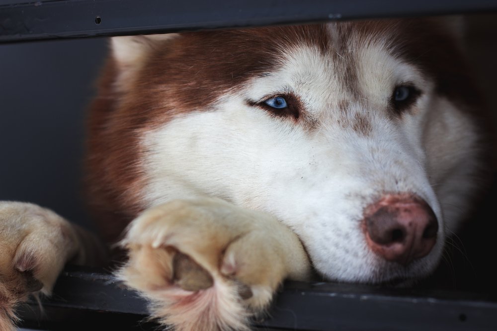 Photograph by Антон Пронин