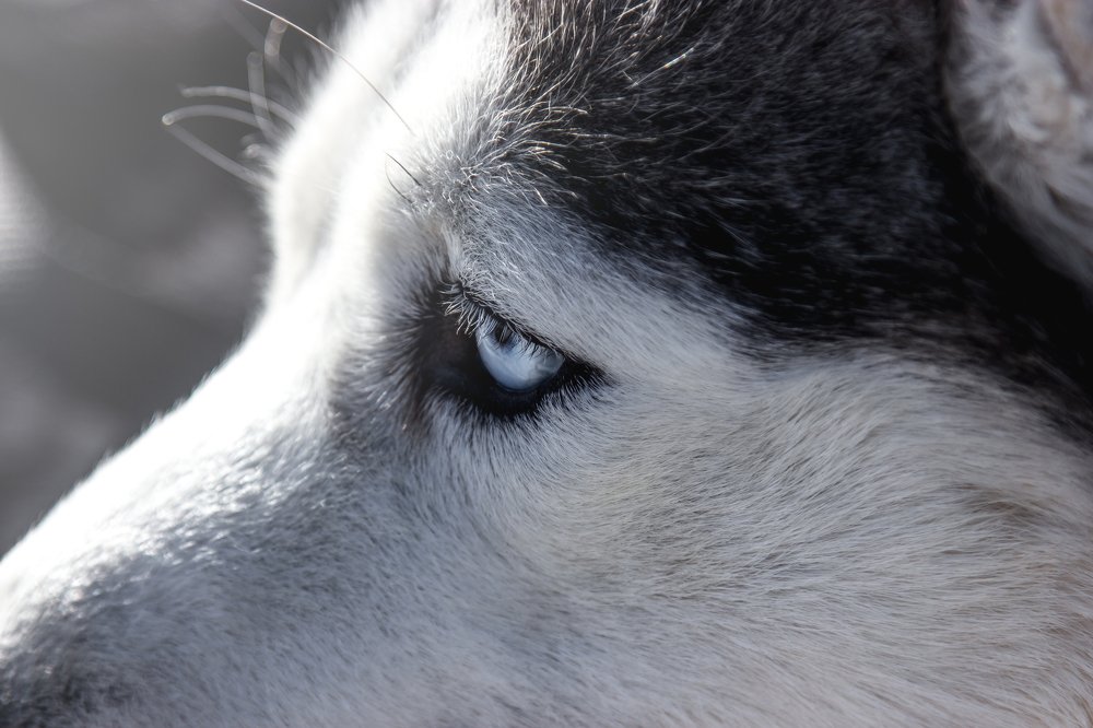 Photograph by Антон Пронин