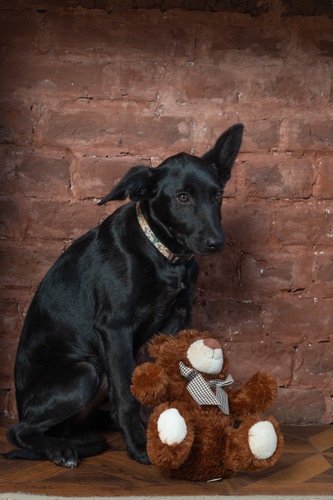 Photograph by Андрей Кульков