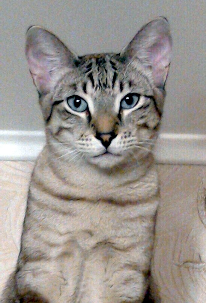 Photograph by Михаил Обертаев