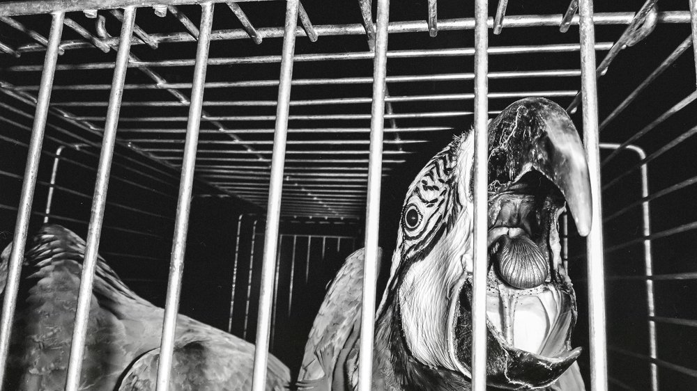 Photograph by Антон Пронин