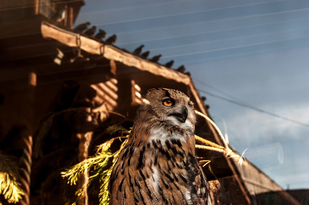 Photograph by Антон Пронин