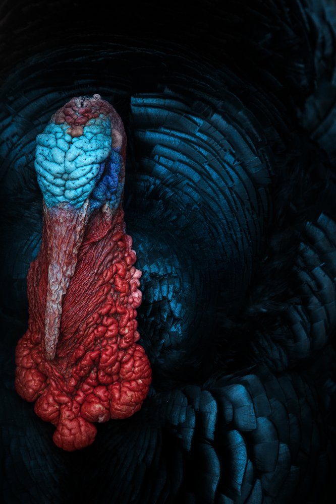 Photograph by Антон Пронин