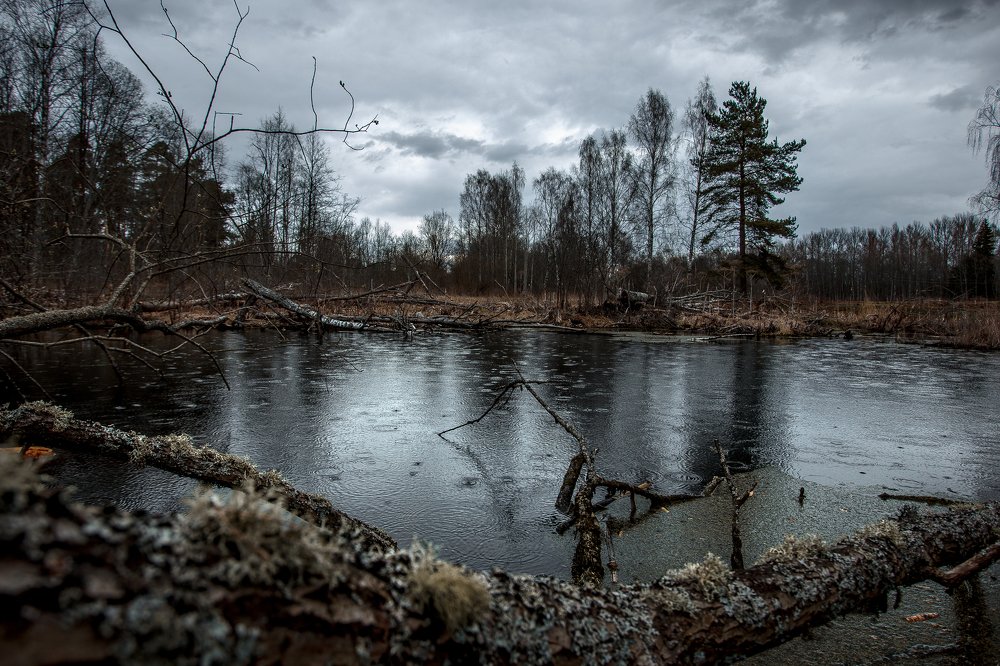 Photograph by Антон Пронин