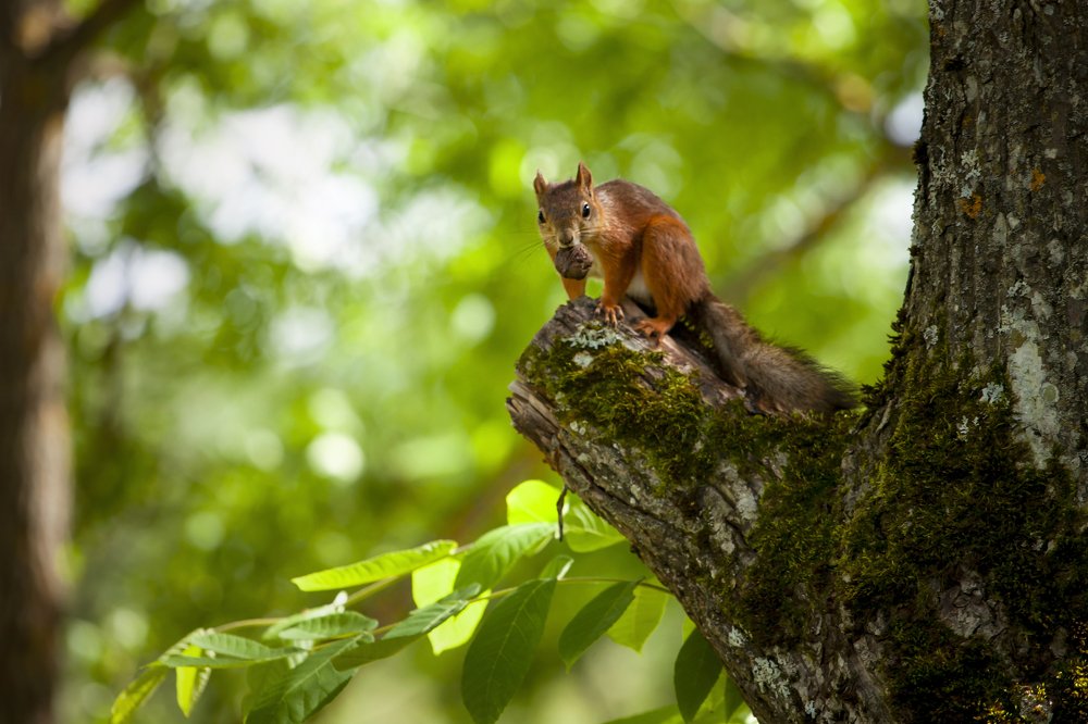 Photograph by Мария Середа