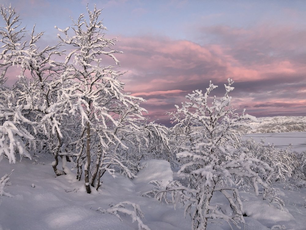 Photograph by Оксана Шеховцова