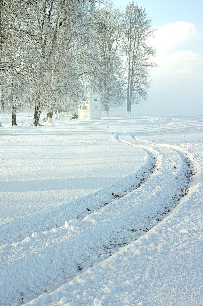 Photograph by Лариса Лофицкая
