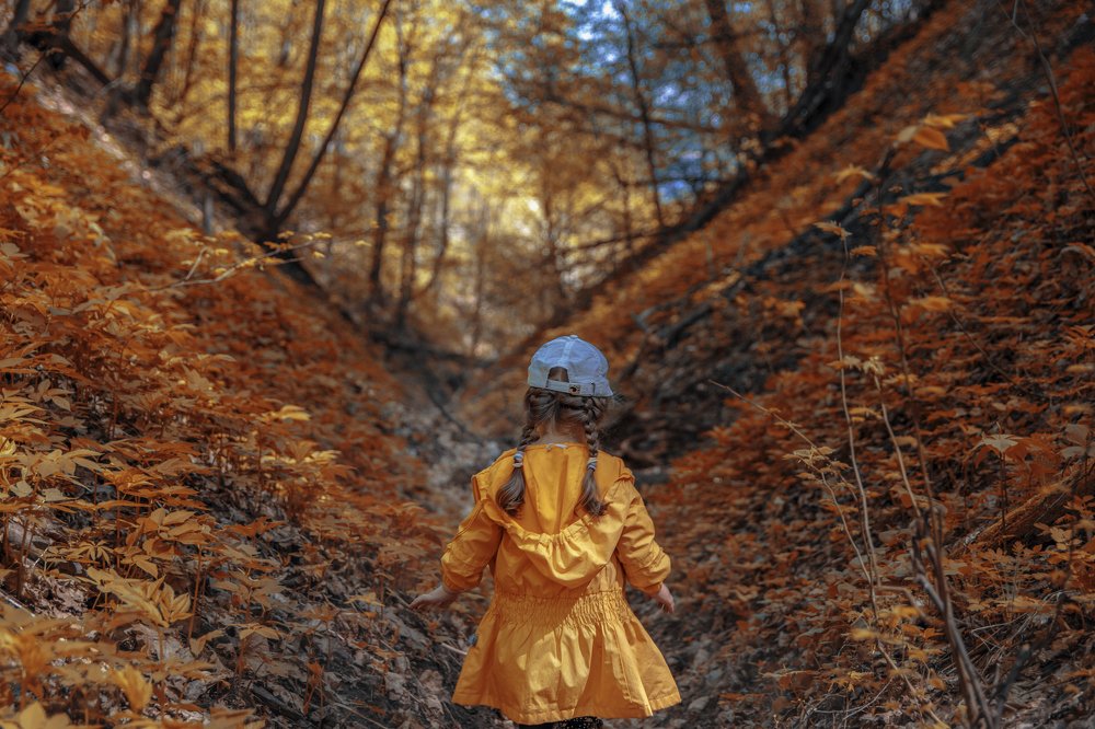 Photograph by Шаукат Габитов