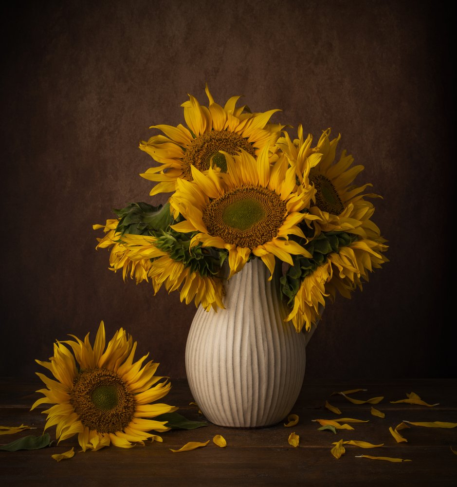 Photograph by Laura Oporanu