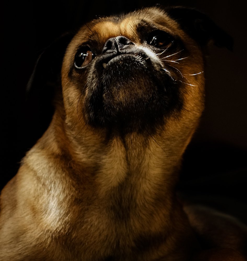 Photo #5344686