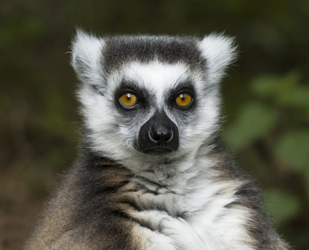 Photograph by Hari Kumar