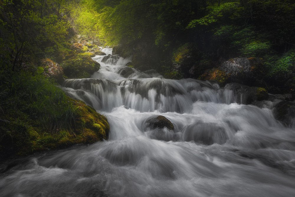 Photograph by Роман Мурашов