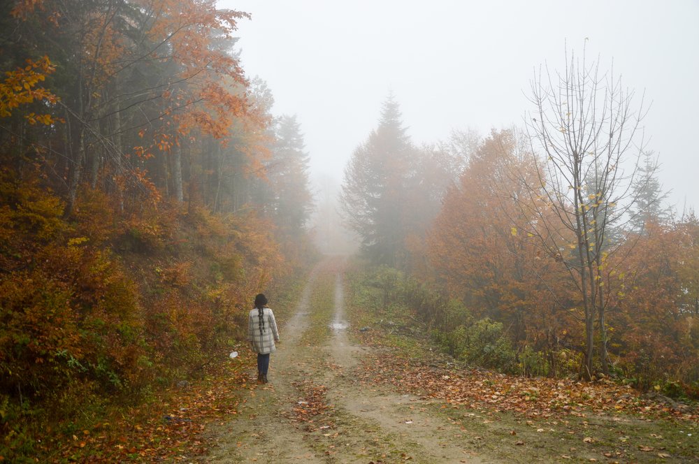 Фотография автора EYUP HÜDAVERDİOĞLU