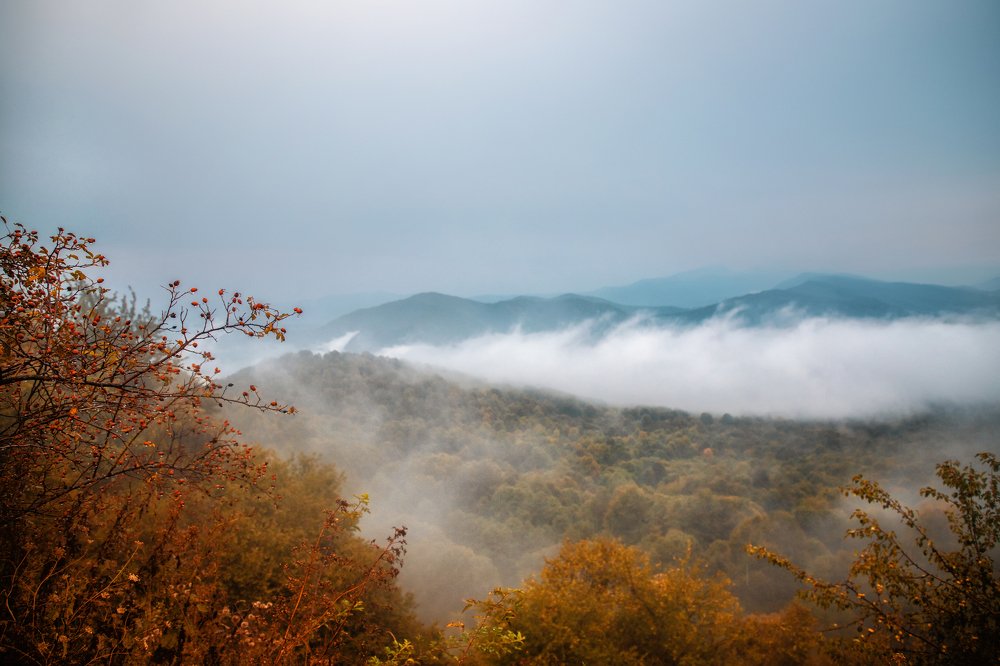 Photograph by EKATERINA WALTER