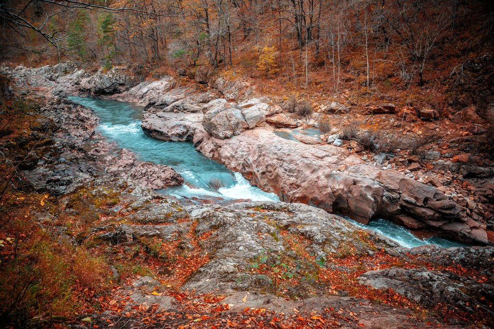 Photograph by EKATERINA WALTER