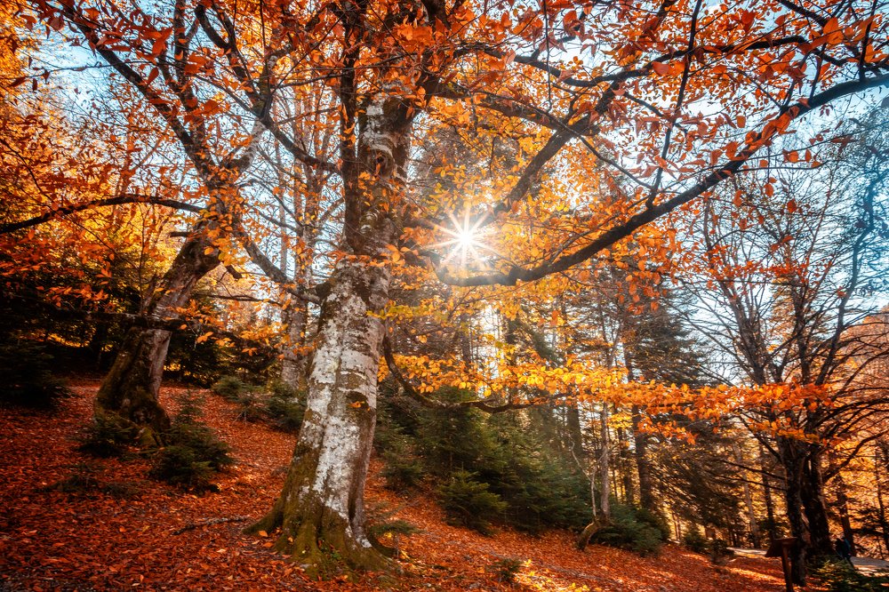 Photograph by EKATERINA WALTER