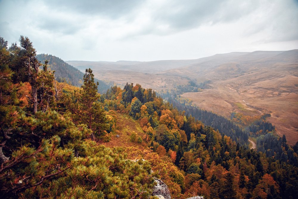 Photograph by EKATERINA WALTER