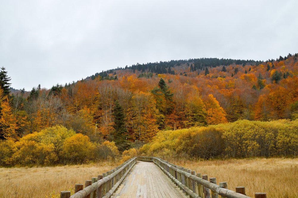 Фотография автора EYUP HÜDAVERDİOĞLU