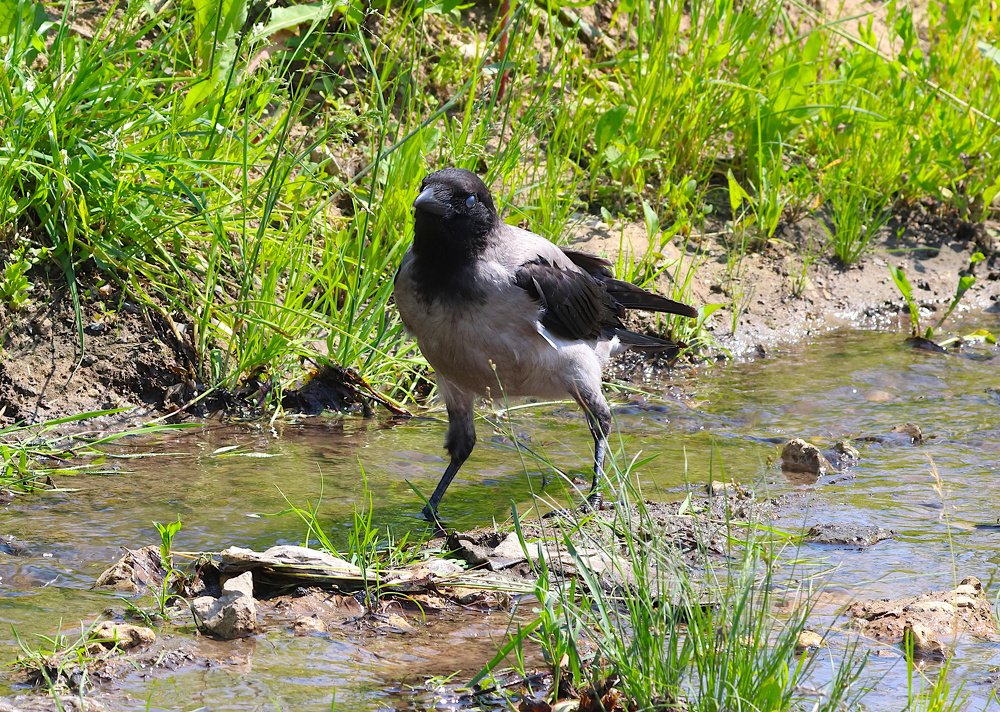 Photograph by Алексей Герасимов