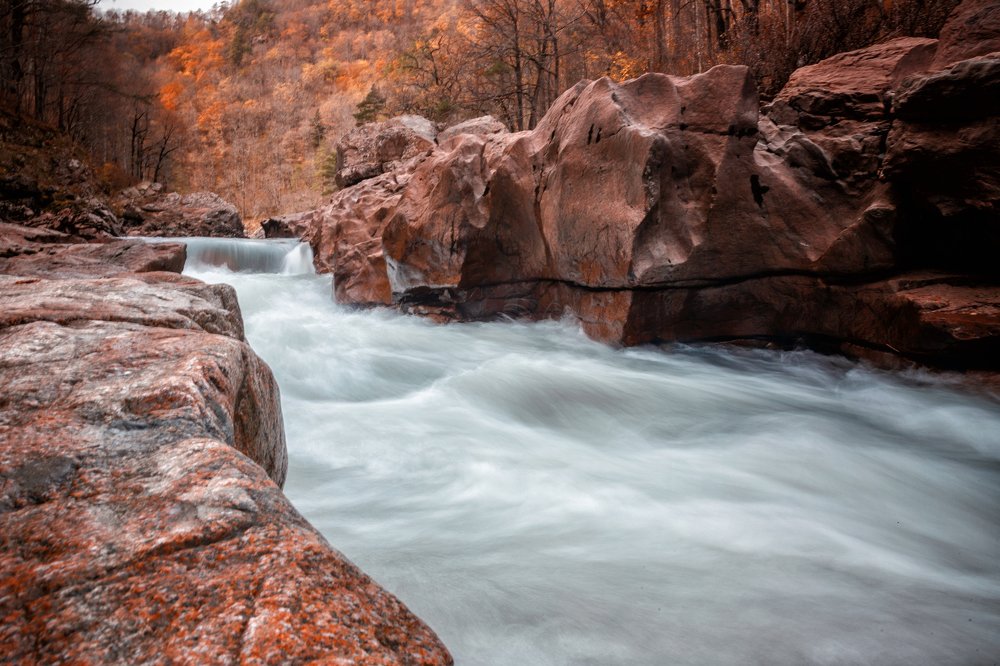 Photograph by EKATERINA WALTER