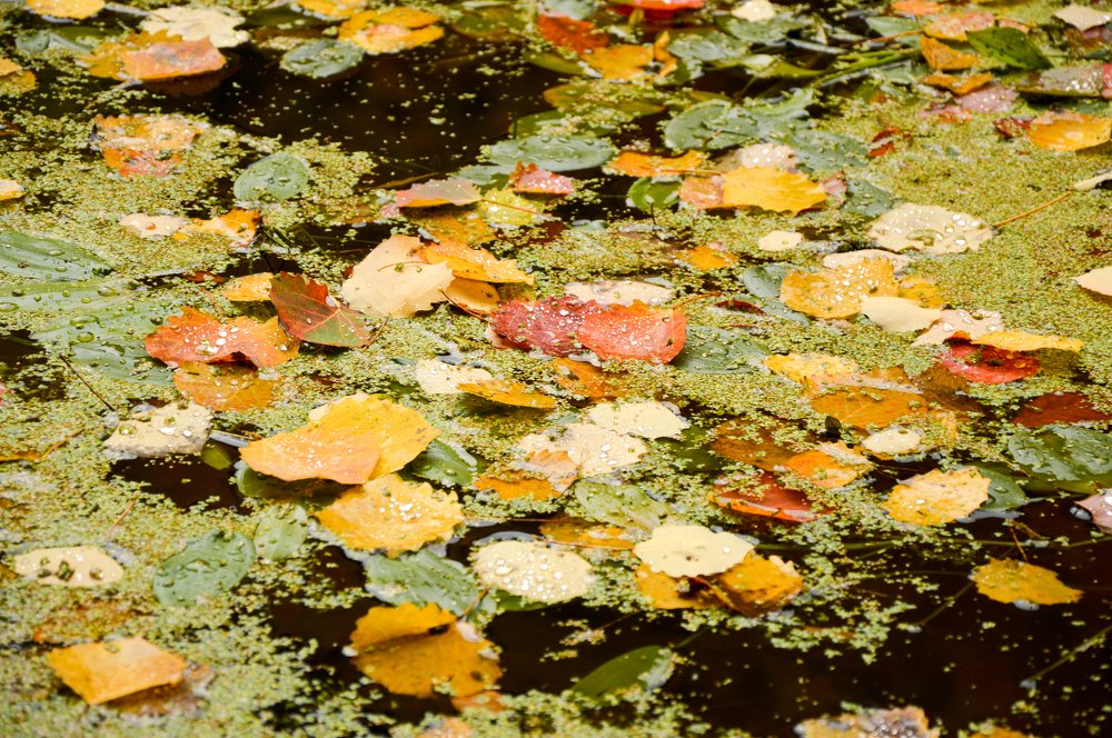 Фотография автора EYUP HÜDAVERDİOĞLU