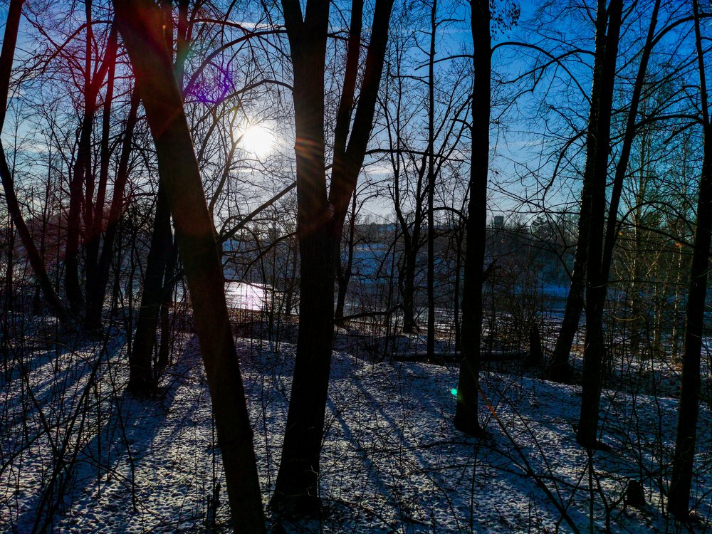 Photograph by Valentina